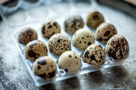 QUAIL EGGS – The Village Butcher – Your Craft Butcher, Delivered