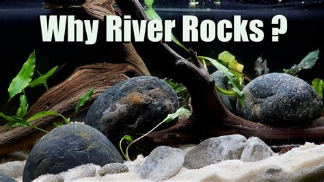 A Whole Bunch of Reasons You Should Be Using River Rocks in Your ...