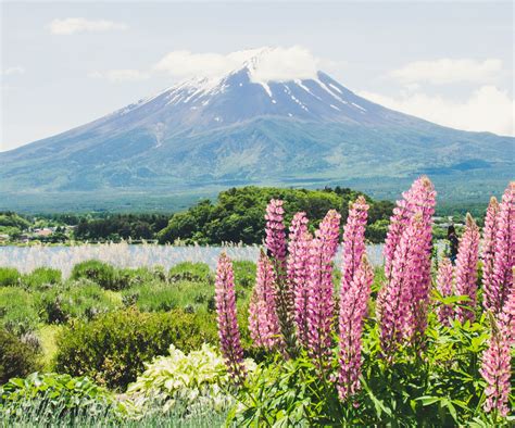 The Most Beautiful Places in Japan