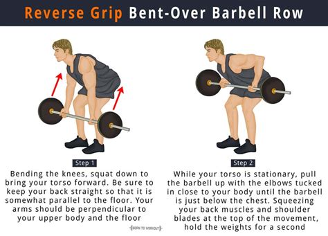 Reverse Grip Barbell Row: How to do, Benefits, Muscles Worked | Born to ...