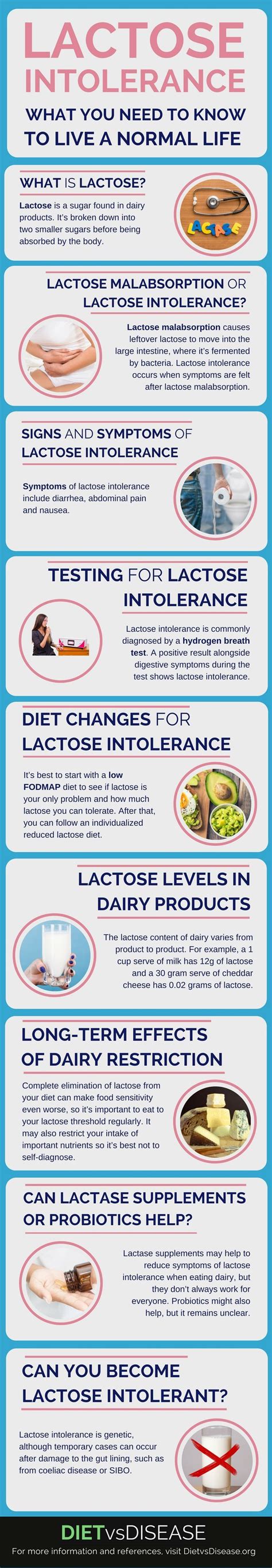 Lactose Intolerance: What You Need to Know to Live a Normal Life | Diet ...