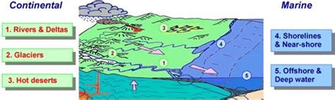 Geological Society - Deposition of Sediment