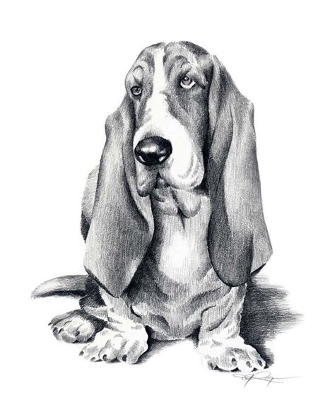 BASSET HOUND Dog Drawing Art Print by Artist DJ Rogers - Etsy | Dog ...