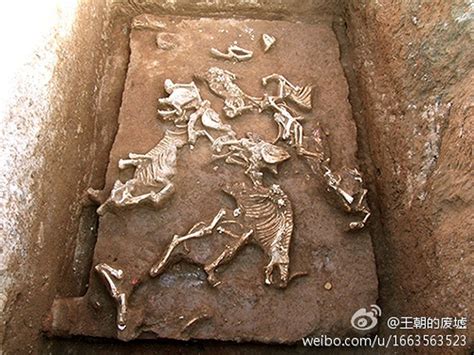 China: Ancient Tomb of First Emperor Qin Shi Huang's Grandmother ...