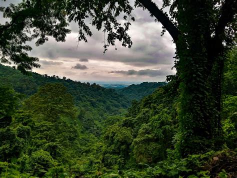 Sukna Forest, India [OC] [5632x4224] : EarthPorn