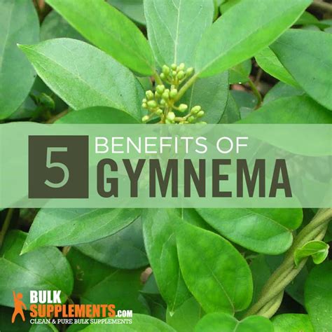 Gymnema: Benefits, Side Effects & Dosage