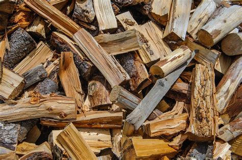 Free Firewood: 8 Places to Find It Near You • Insteading