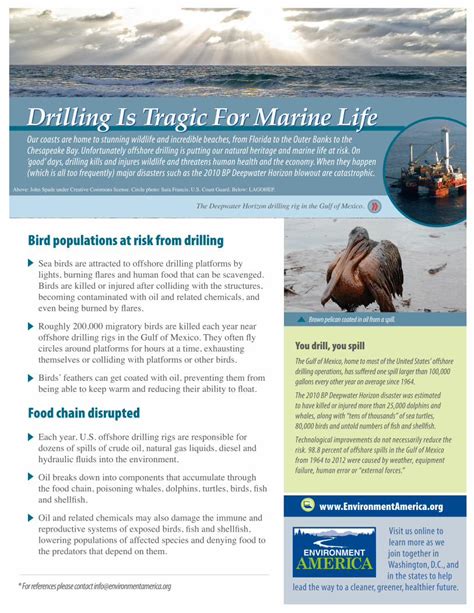 (PDF) Drilling Is Tragic For Marine Life - Environment America ...