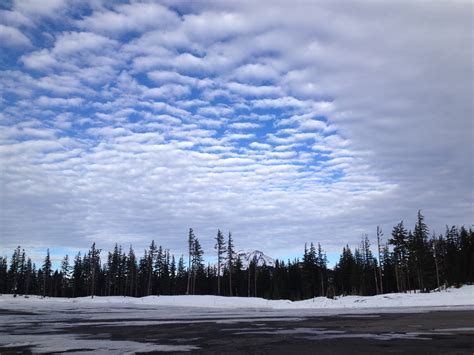 Mt. Bachelor, OR Conditions Report| January 2, 2014 - SnowBrains