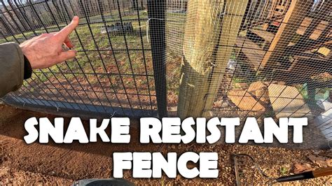 Building a Snake Resistant Fence - YouTube