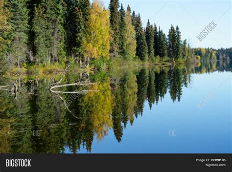 Forest Reflection Lake Image & Photo (Free Trial) | Bigstock