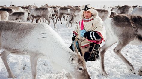 Photos: For Scandinavia's Sami People, Reindeer Still Reign : The ...