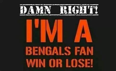 NFL Cincinnati Bengals meme wallpaper | BENGALS | Pinterest ...