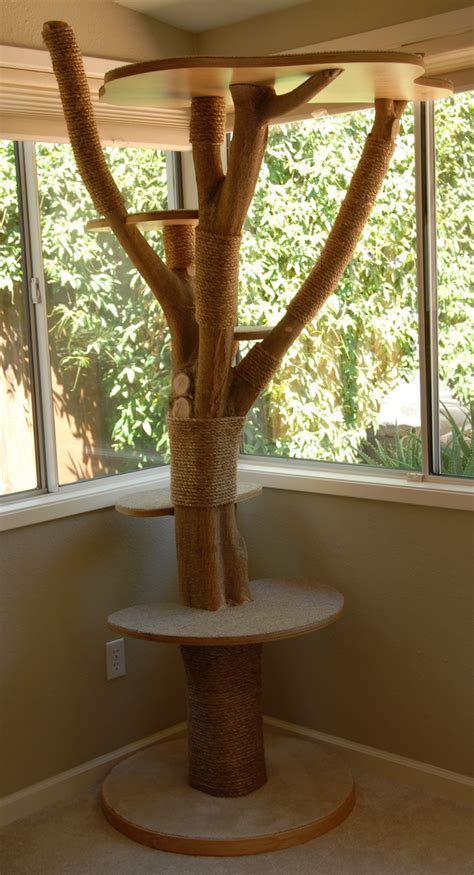 DIY cat tree built from.... a real tree! | Cat diy, Cat playground, Cat ...