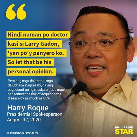 Presidential spokesperson Harry Roque on Atty. Larry Gadon's face mask ...