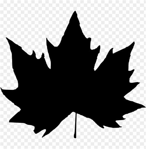 Leaf Silhouette png - Free PNG Images | TOPpng