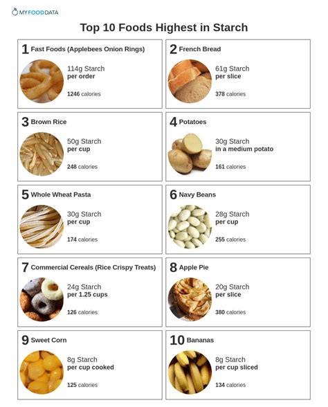 Top 10 Foods Highest in Starch