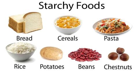 Starch - a complex carbohydrate - Assignment Point