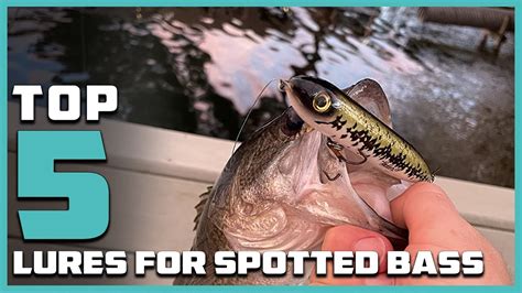 Lures for Spotted Bass Buying Guide – Bass Manager | The Best Bass ...