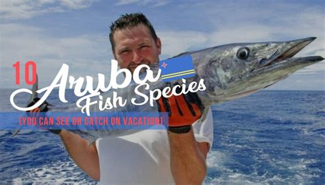 10 Aruba Fish Species You Should Know | TravelTips.org