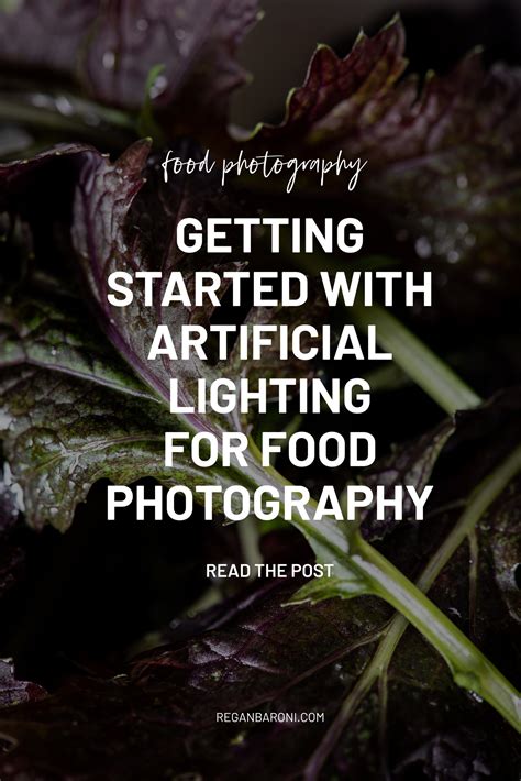 Artificial Lights for Food Photography | Regan Baroni