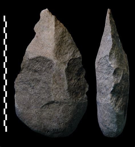 Earliest Homo Erectus Tools Found in Kenya - The New York Times