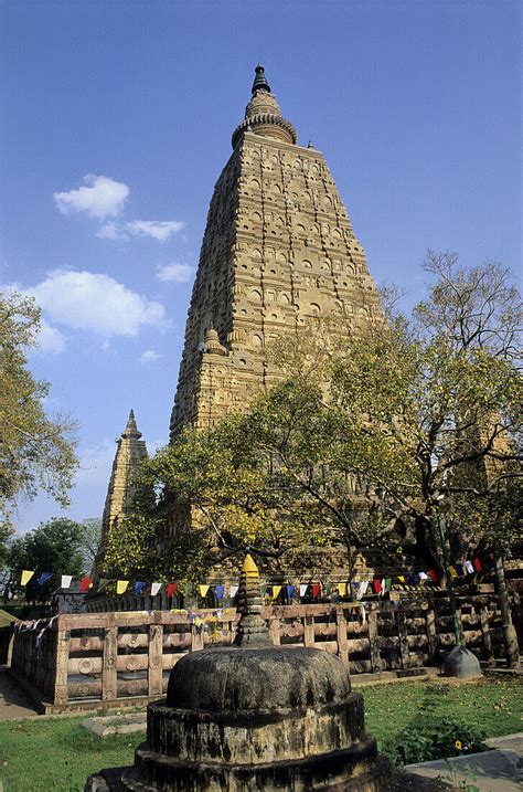 BODHI TREE AND MAHABODHI TEMPLE, … – License image – 70255811 lookphotos