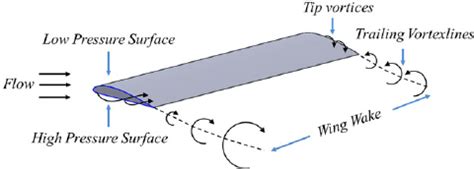 Development of wingtip vortices over a wing section | Download ...