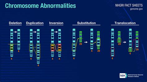 What Is A Chromosome - Chromosome - YouTube : The dna is tightly coiled ...