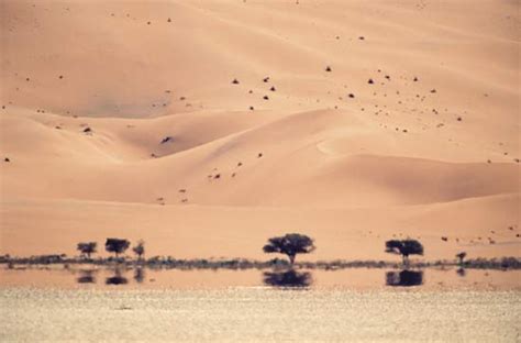 The Beautiful Desert Mirage of the Nullarbor - Nullarbor Roadhouse