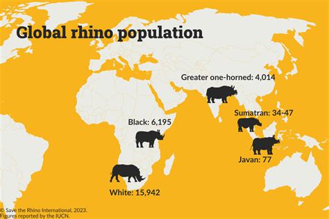 Rhino populations | Rhino Facts | Save the Rhino International