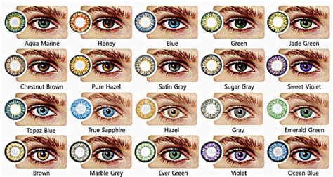 All About The Human Eye Color Chart