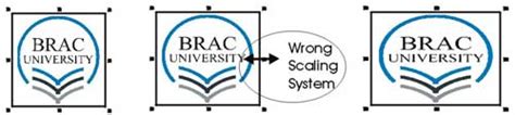 BRACU Logo | BRAC University