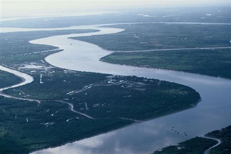 Conserving the Mighty Mekong River | WWF