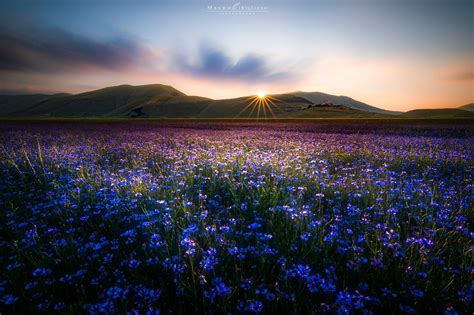 15+ Amazing Photographers Capture Bright Colors In Nature - VIEWBUG.com