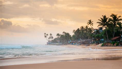 The 5 Best Beaches in Sri Lanka | Cinnamon U