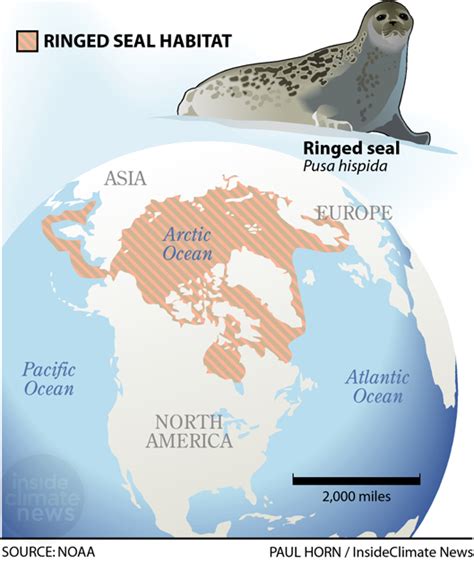 Ringed Seal Habitat Map - Inside Climate News