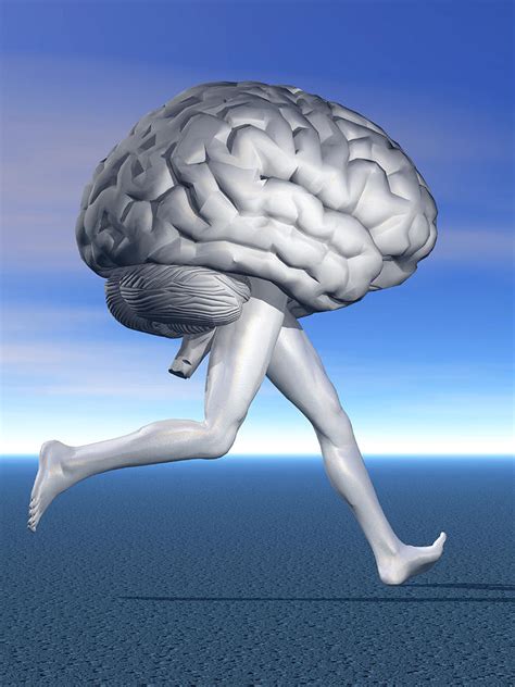 Running Brain, Conceptual Artwork Photograph by Laguna Design - Fine ...