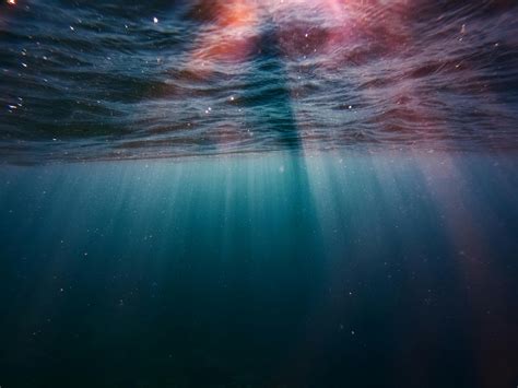 Underwater · Free Stock Photo