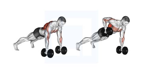 Dumbbell Renegade Row - Guide, Benefits, and Form