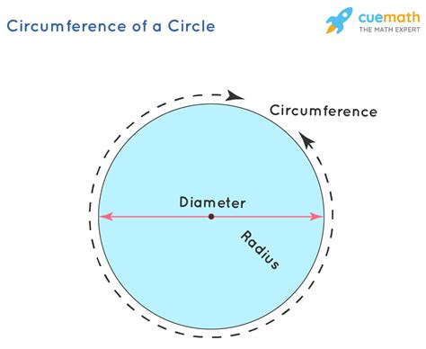 Circumference - Formula, Examples | Circumference of Circle