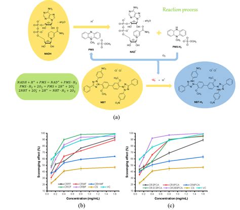 Reaction process of superoxide-radical scavenging activity assay (a ...