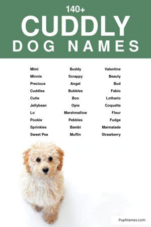 140+ Cuddly Dog Names (+ Meanings) | PupNames.com™