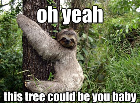 Dirty Sloth Quotes. QuotesGram