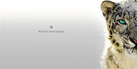 Mac OS X Leopard Wallpapers - Wallpaper Cave