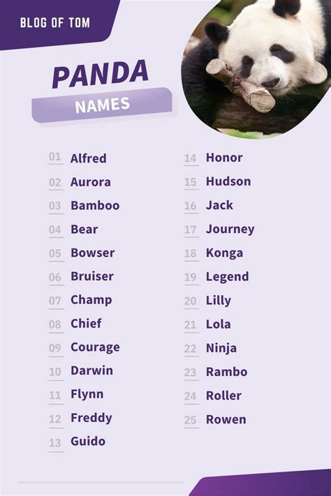 the panda name list is displayed in purple and white colors, with an ...