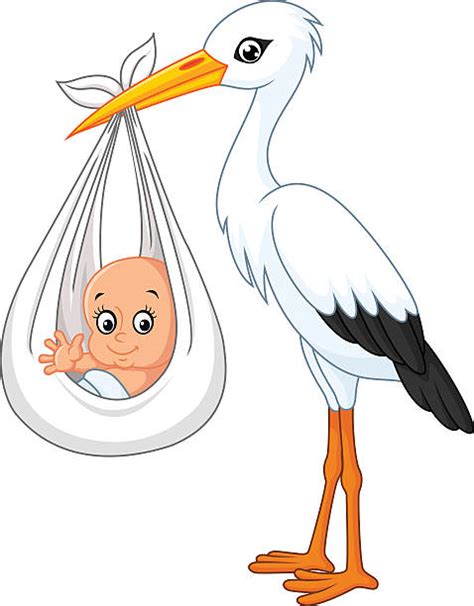 Best Stork Delivering Baby Illustrations, Royalty-Free Vector Graphics ...