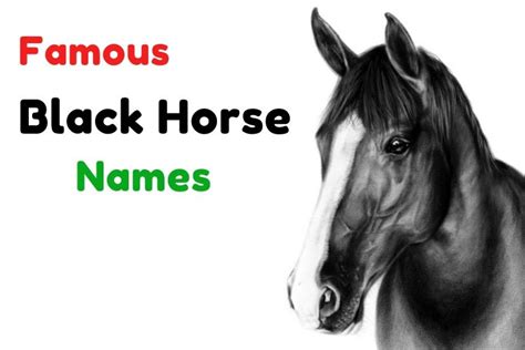 {1000+} » Black Horse Names » Amazing Names For A Black Horse