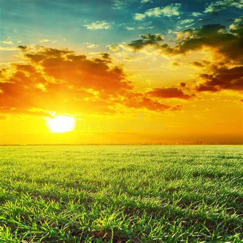 Grass Field Trees River Sunset Wallpapers Grass Field