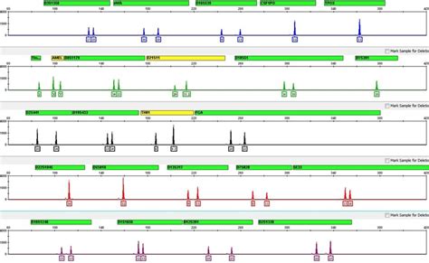 DNA profiling — Science Learning Hub